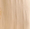 Ivory Cotton Slip