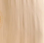 Ivory Cotton Slip